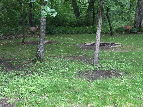 31503 141st St NW, Baldwin Twp, MN 55371