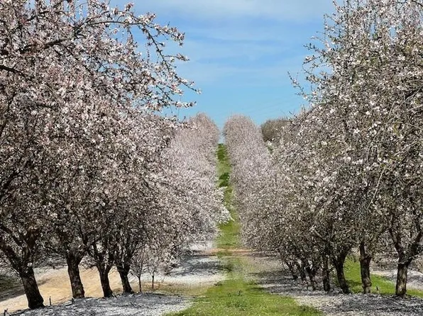 7461 East Ave, Ballico, CA 95303