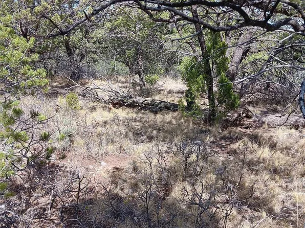LOT 117 Wilde St, Timberon, NM 88350