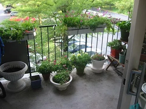 1 bed, 825 sqft, $2,050 — Photo 4