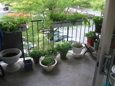 balcony
