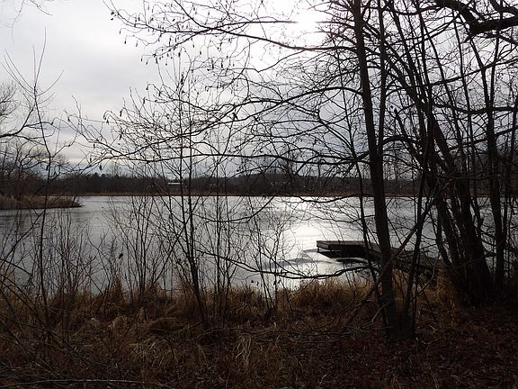 3rd image of Basswood Dr