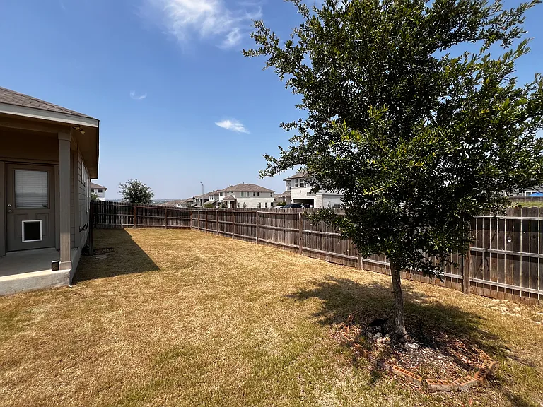 Backyard, side