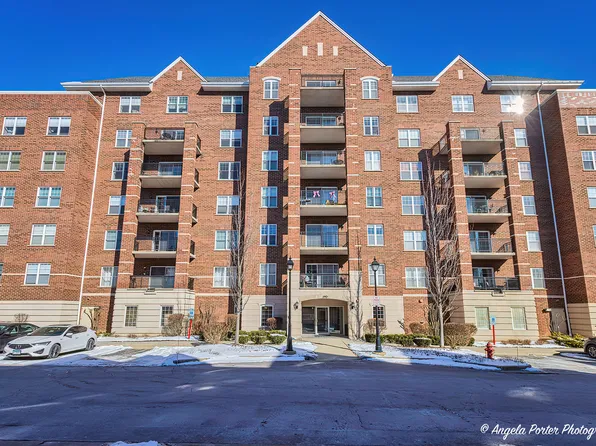 390 W Mahogany Ct Unit 201, Palatine, IL 60067
