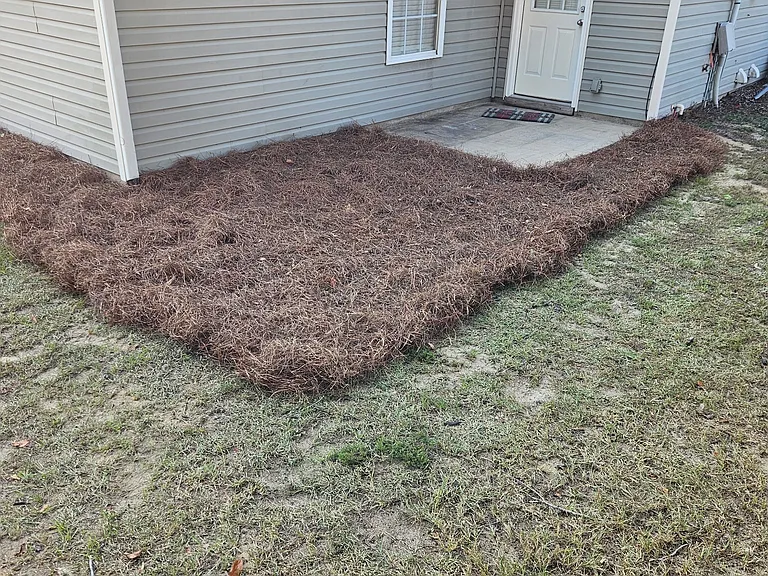 115 Bill Williamson Ct #B — Photo 2