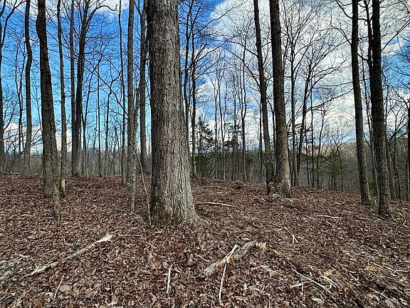 4th image of 7 Malone Ridge Rd #7