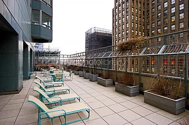 Rented by Domus Realty