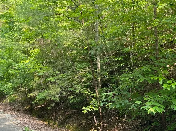 W River Trce, Ellijay, GA 30536