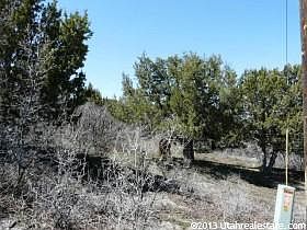 LAND WPPIII power & water