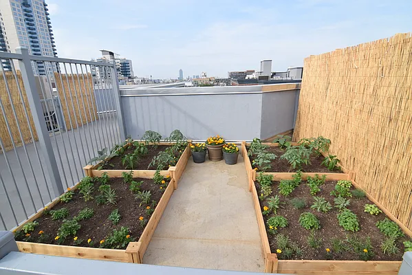 Rented by J Misrahi Realty Corp | media 41