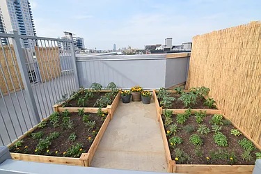 Rented by J Misrahi Realty Corp