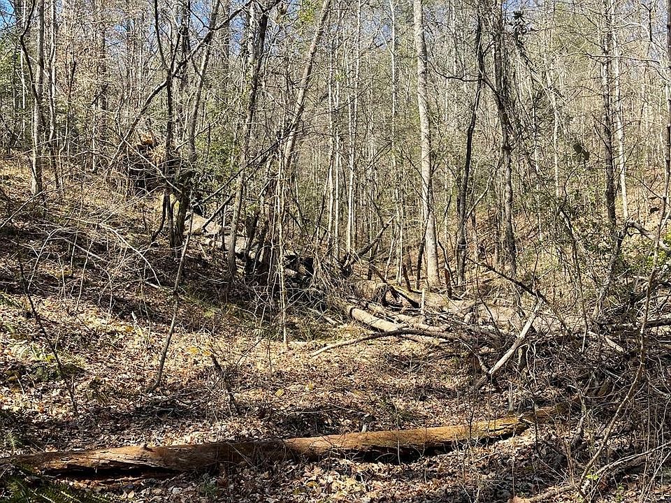 1st image of 0 Childers Creek Rd