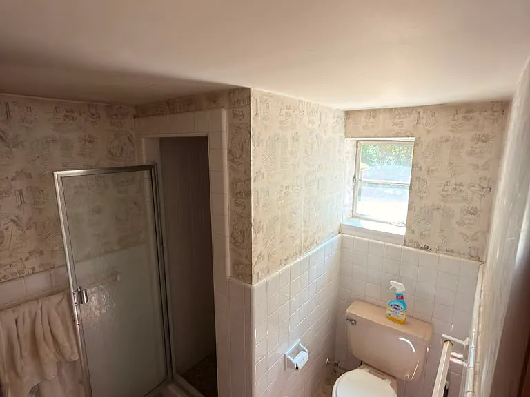 Basement full bathroom with Stand Up Shower Stall.
