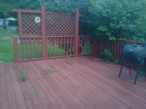 5th image of 33385 Rockford Dr