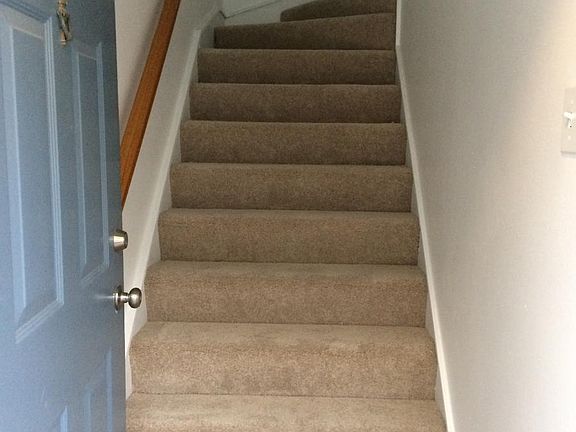 The stairway with carpet