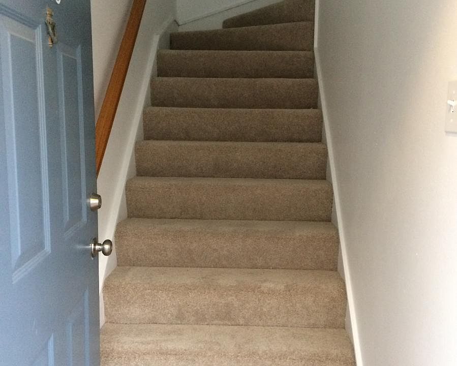 The stairway with carpet