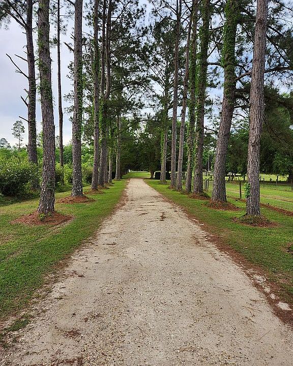 Coming up the driveway