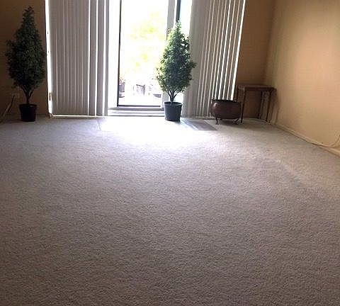 4th image of 475 N Cass Ave APT 314
