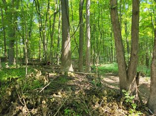 Peterson Dr, Gobles, MI 49055