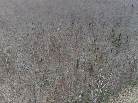 2nd image of PARCEL County Road 433 Rd #B
