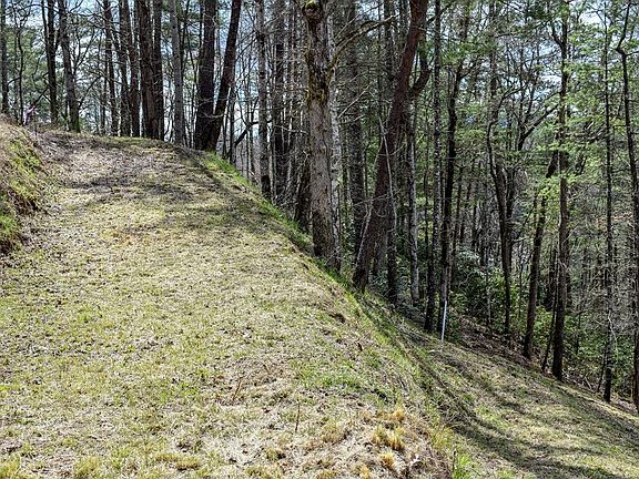 5th image of 0 Panther Creek Dev