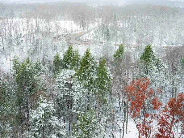 120 McClung Dr, Mount Nebo, WV 26679