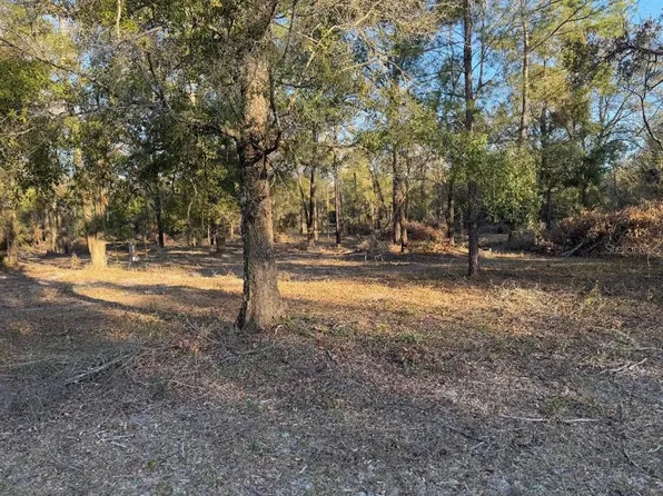 Roanoke Ter SW #56, Fort White, FL 32038