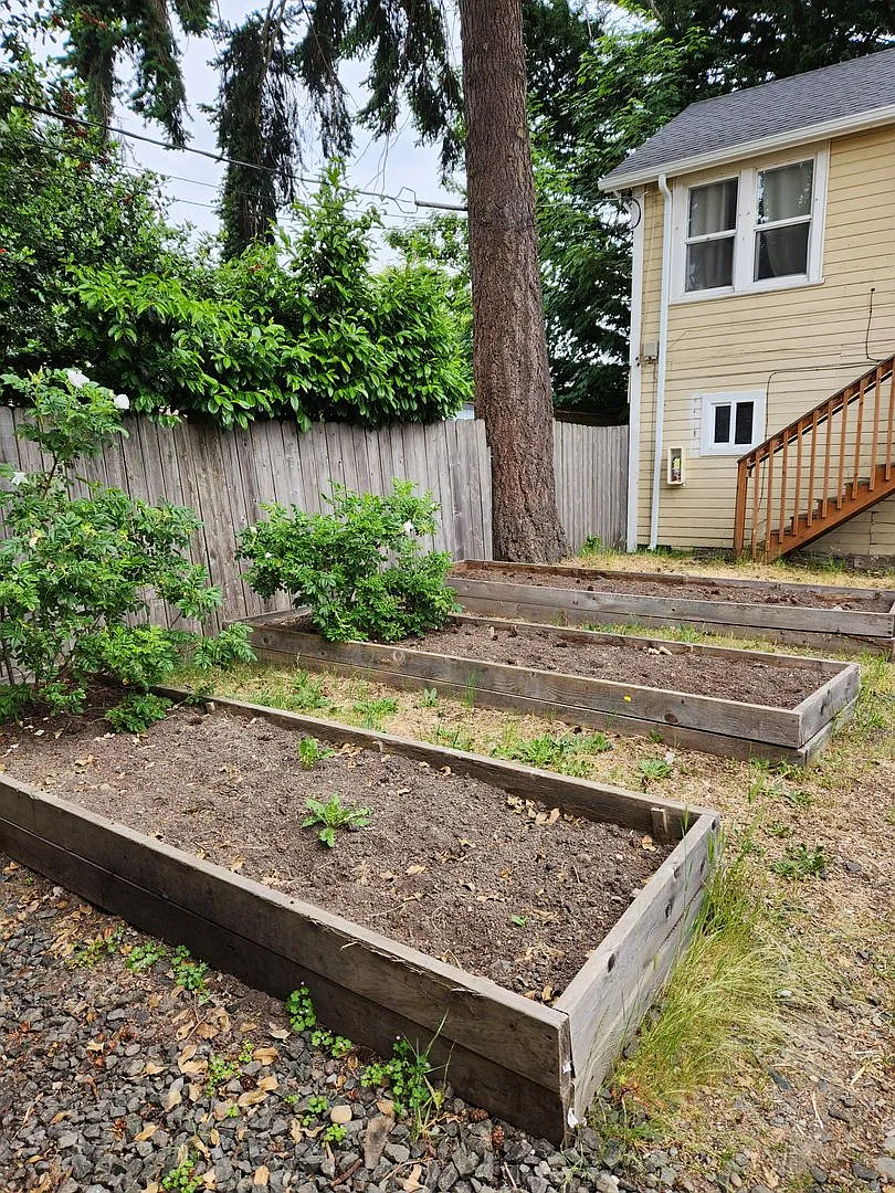 Cozy 1 bed 1 bath Near Park and Olympic College — Photo 4