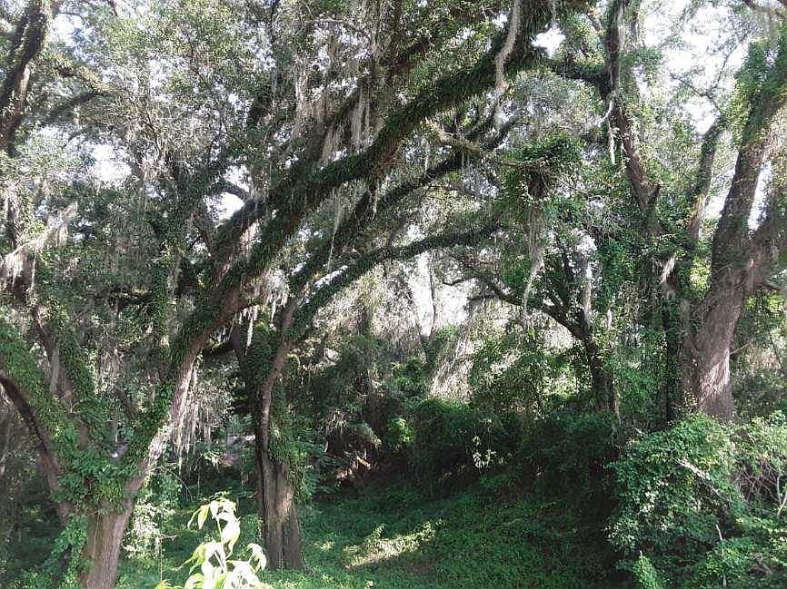 0 Old Hwy 3, Camilla, GA 31730 MLS 153758 Zillow