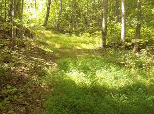 275 Douglas Dr, Sneedville, TN 37869