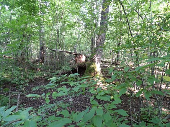5th image of Off Gruhner Road