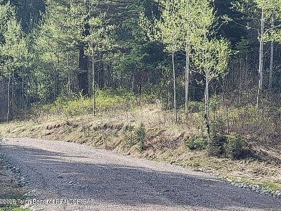 3rd image of L39b4 Cutthroat Run