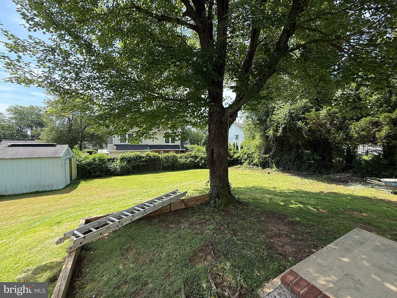 3 bed, 2.0 bath, 1547 sqft, $3,299 — Photo 2