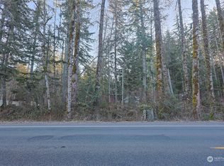 56104 Kernahan Rd E, Ashford, WA 98304