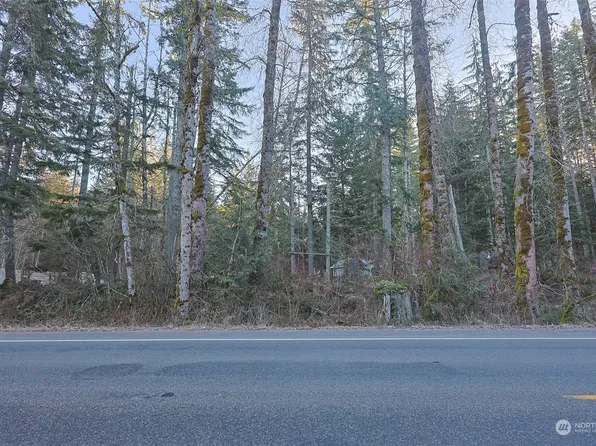 56104 Kernahan Road E, Ashford, WA 98304