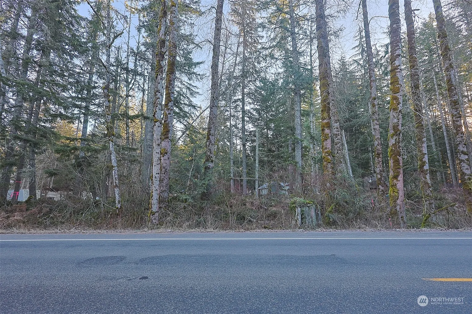 56104 Kernahan Road E photo 1