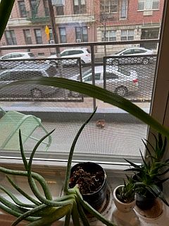 1st image of 3044 29th St APT 2K