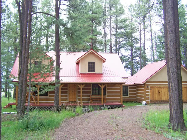 18 County Road 2066, Alpine, AZ 85920