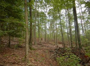 Perry Rd, Richford, NY 13835