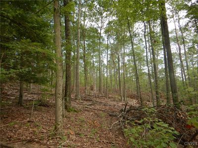 Perry Rd, Richford, NY, 13835