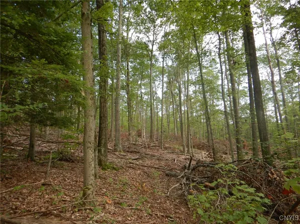 Perry Rd, Richford, NY 13835