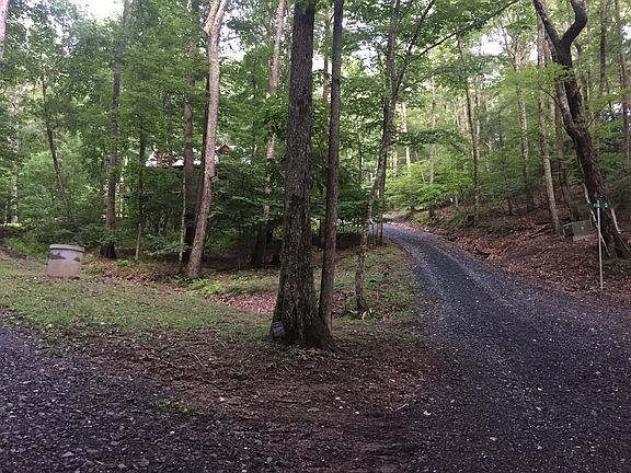 4th image of 243 Laurel Pine Trl