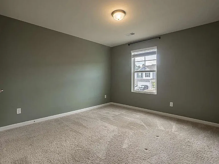 244 Savannah Wood Rd — Photo 24