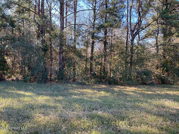 3rd image of Lake Cypress Dr Lot 6