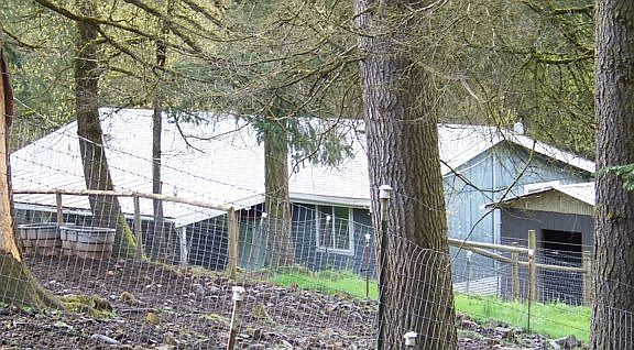 back of house