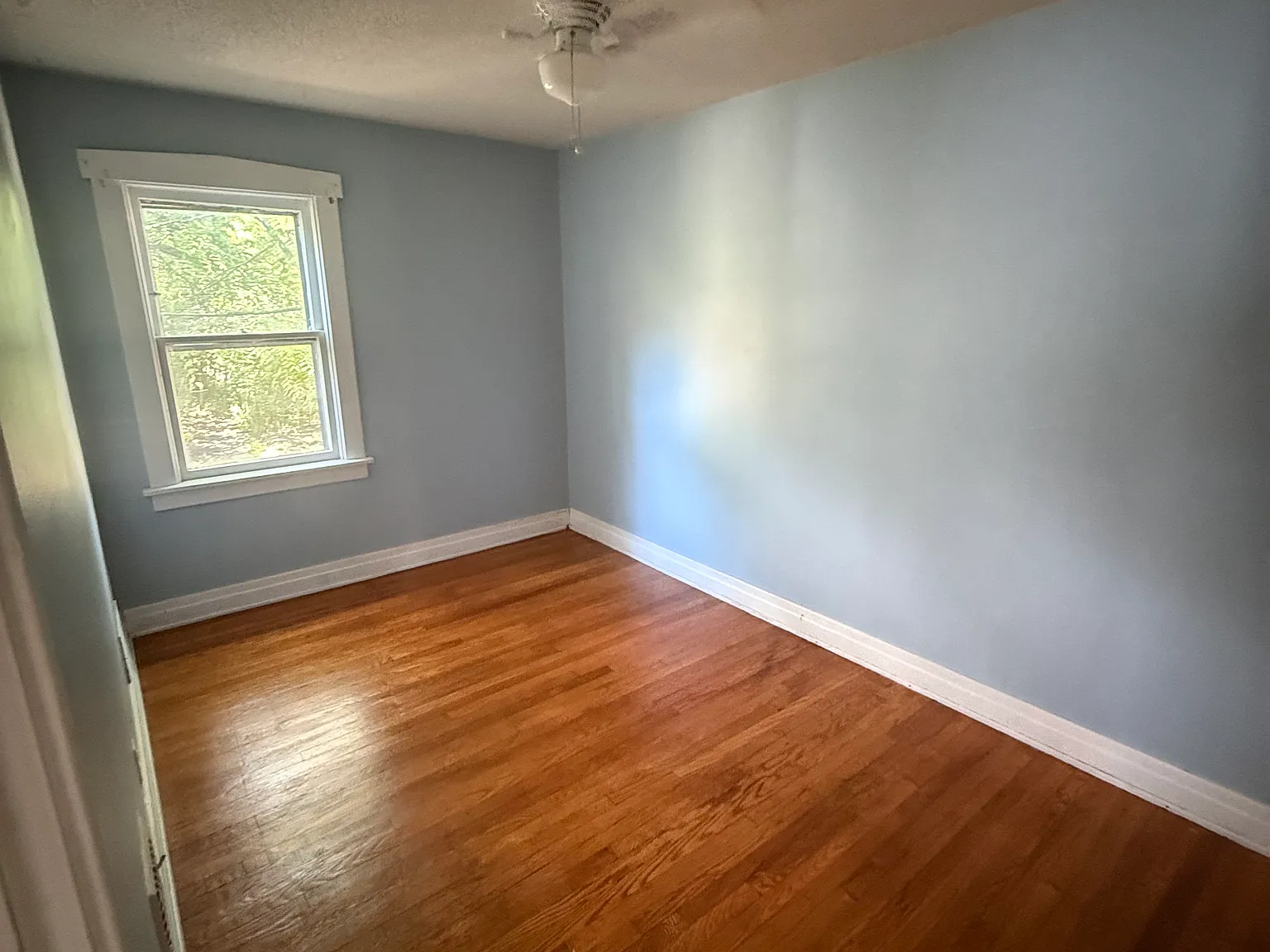 1 bed, 800 sqft, $1,100 — Photo 4