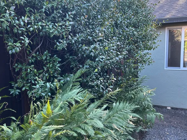 (undisclosed Address), San Geronimo, CA 94963