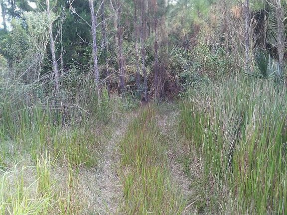 3rd image of 1350 Deer Path Dr