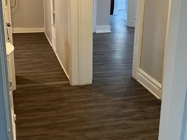 297 Goldsmith Ave #2 — Photo 5