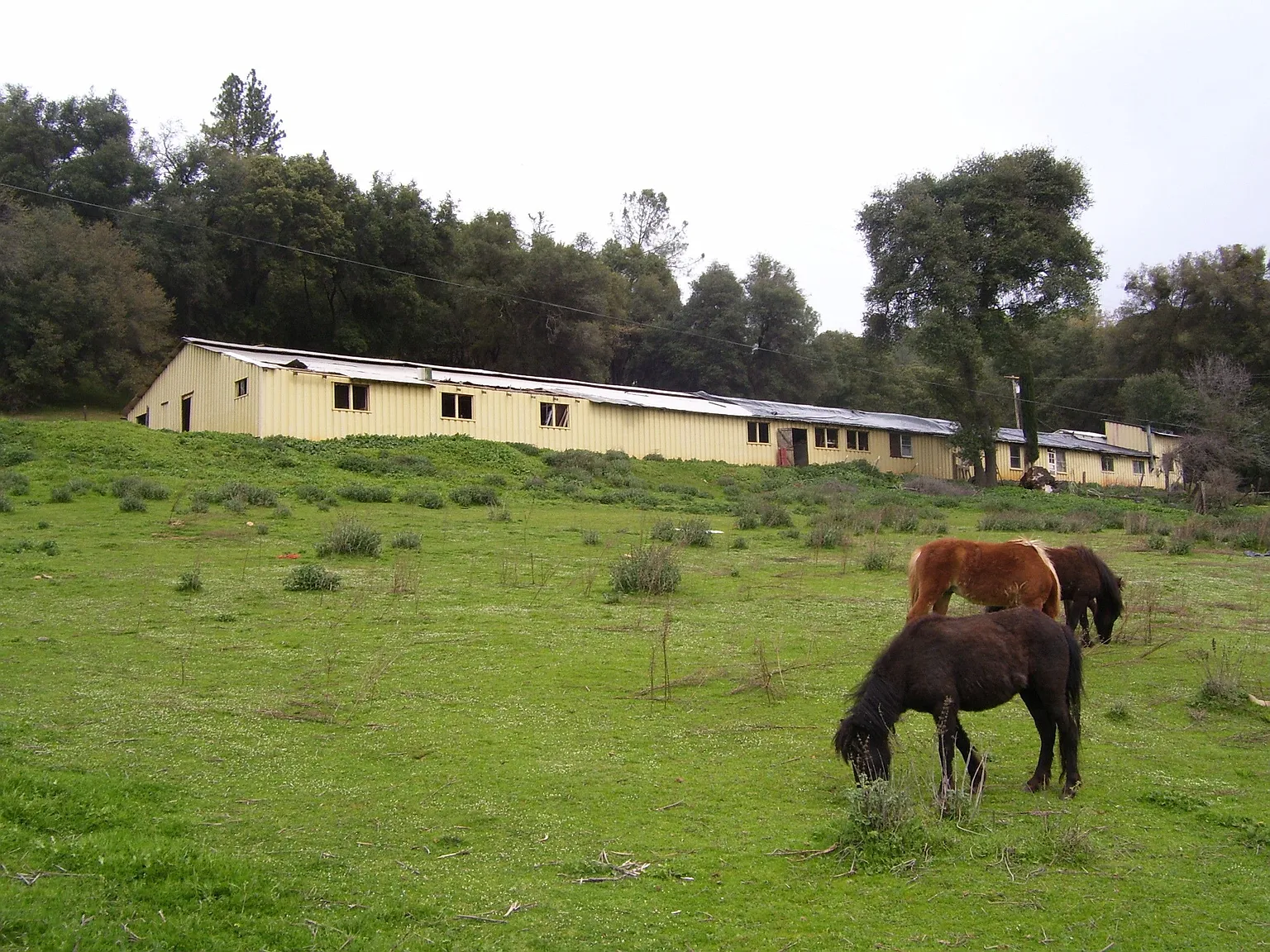 16275 State Highway 88 photo 1
